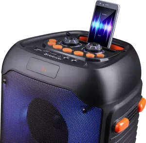 Defender - Kannettava kaiutin Boomer 25