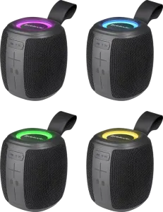 Defender - Kannettava kaiutin Enjoy S550